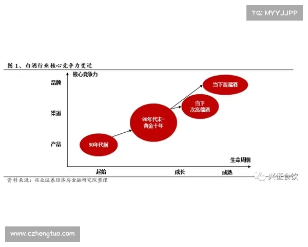 网球赛事种类_网球赛事组织全解析:关键要素实践策略与高效运营方案 网球赛事种类_网球赛事组织全解析:关键要素实践策略与高效运营方案